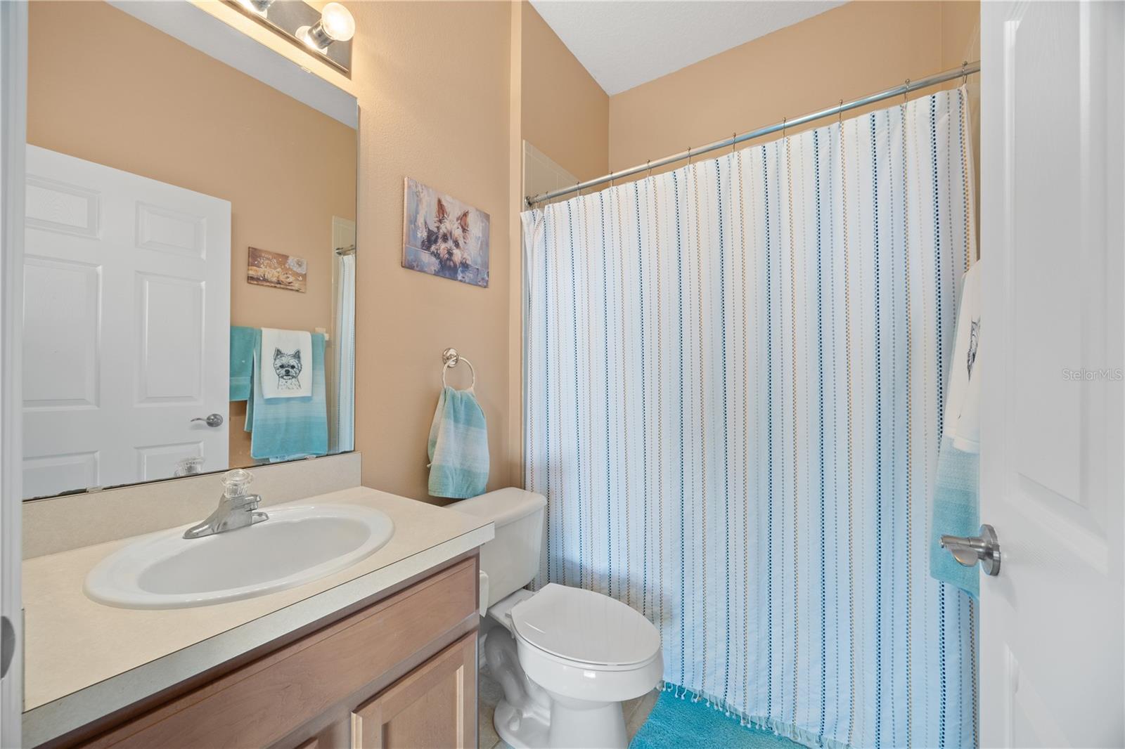 914 SHADOWMOSS DR, WINTER GARDEN, FL, 34787