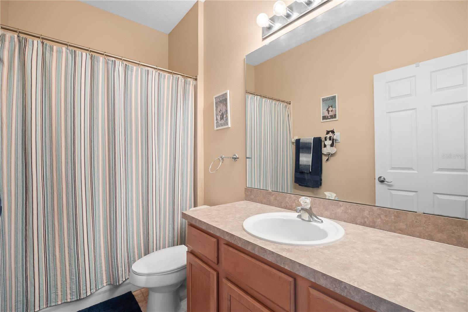 914 SHADOWMOSS DR, WINTER GARDEN, FL, 34787