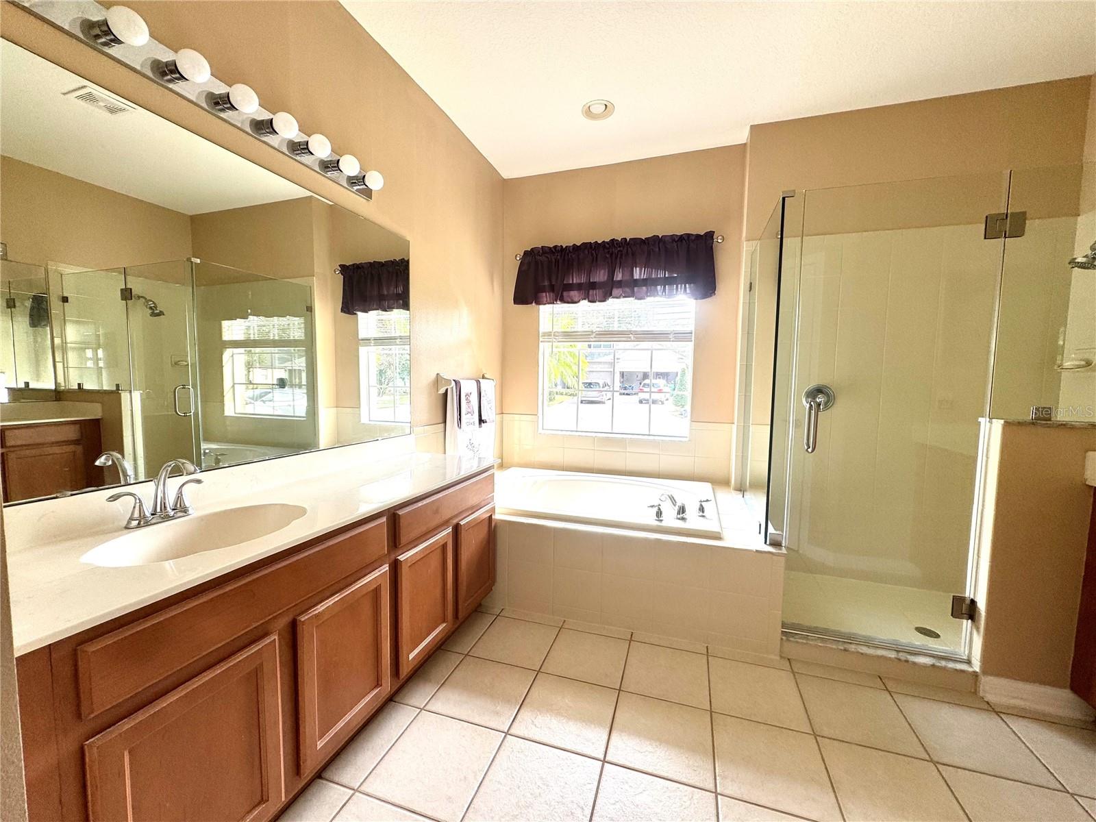 914 SHADOWMOSS DR, WINTER GARDEN, FL, 34787