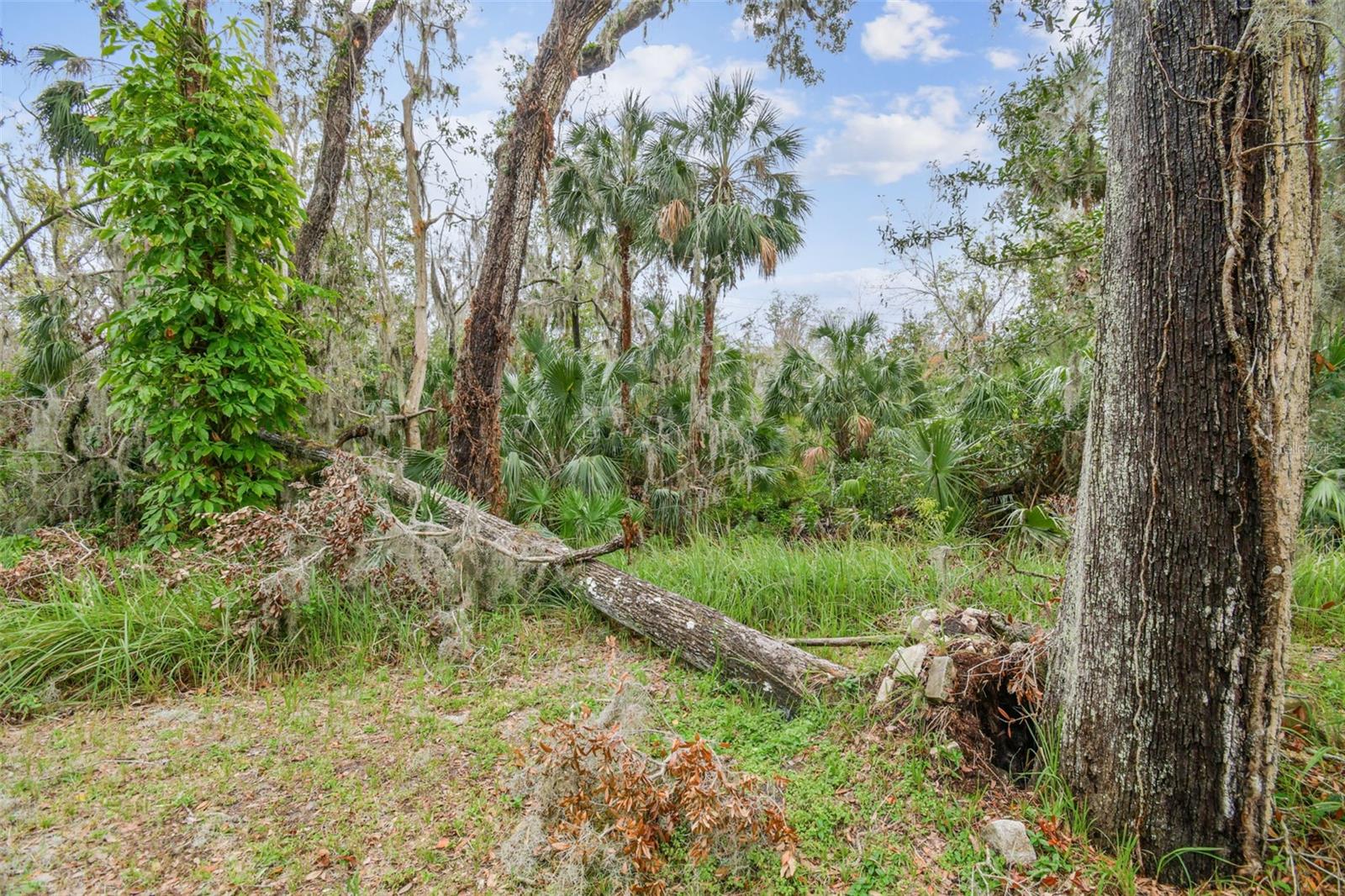 CASA LOMA DR, RIVERVIEW, FL, 33569