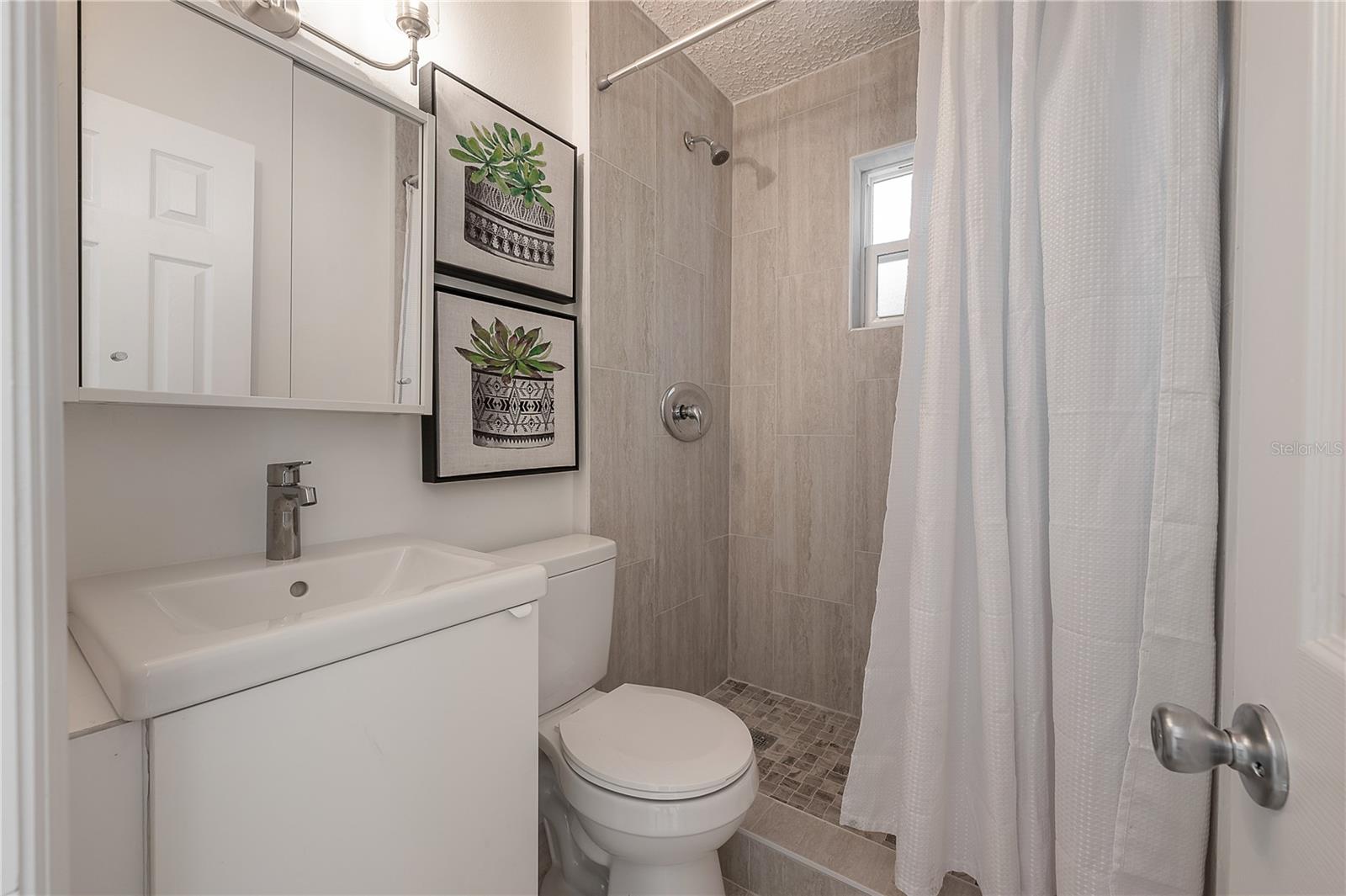 807 W MINNEHAHA ST, TAMPA, FL, 33604