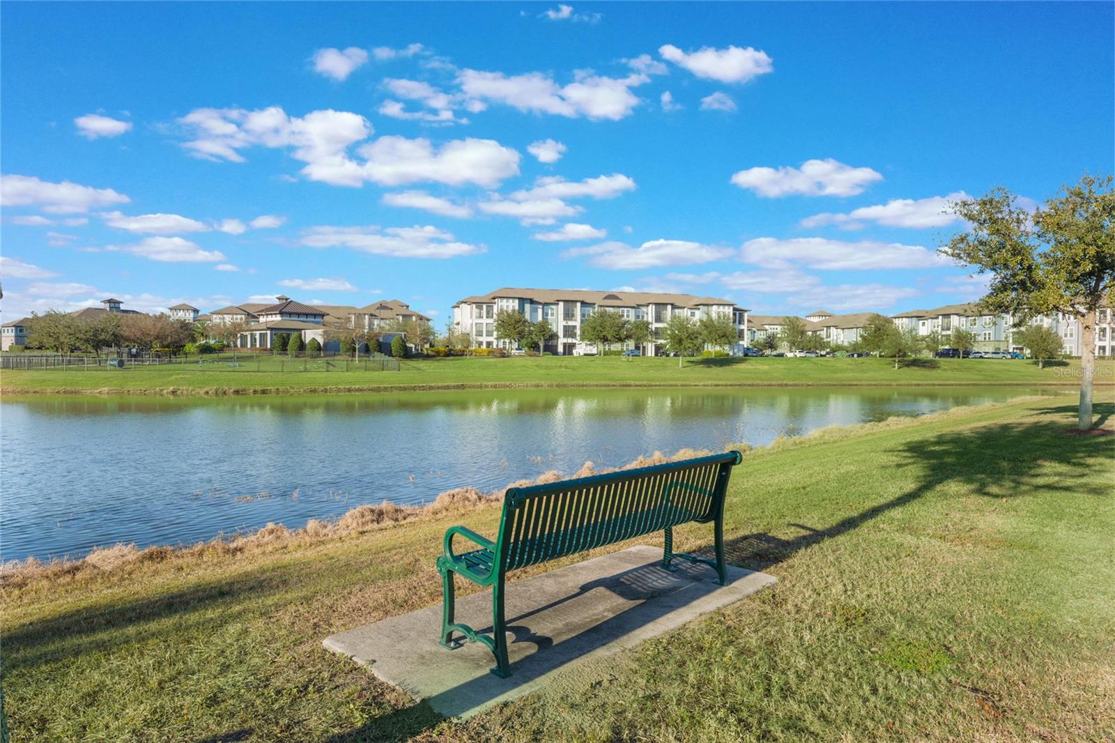 13715 BRESSLER ALY, WINDERMERE, FL, 34786