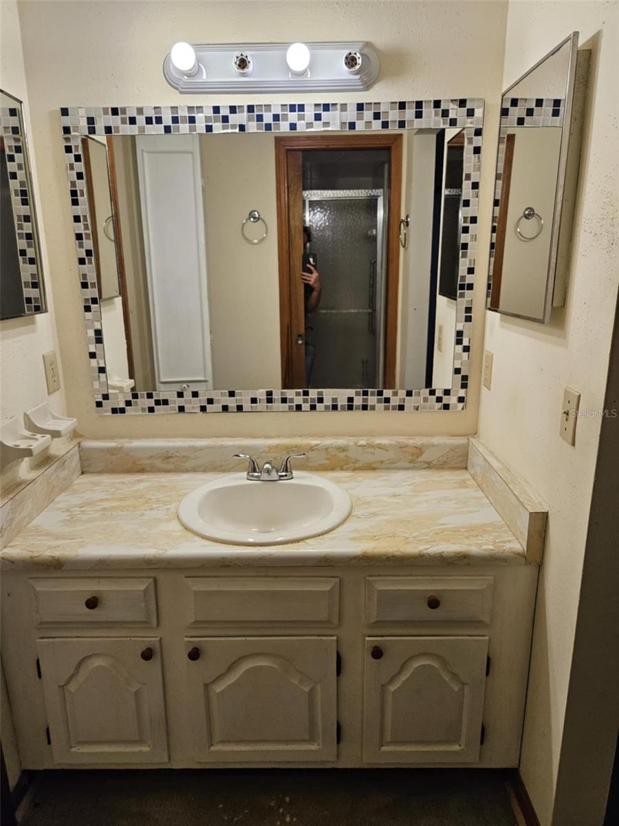 29 LONESOME PINE TRL, YALAHA, FL, 34797