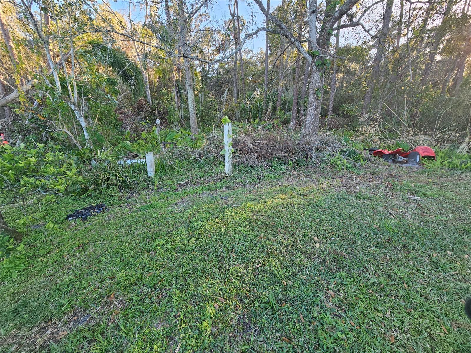 29 LONESOME PINE TRL, YALAHA, FL, 34797