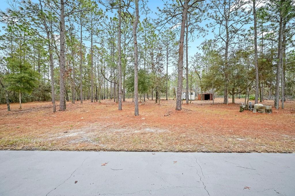 6525 SW 138TH TER, OCALA, FL, 34481