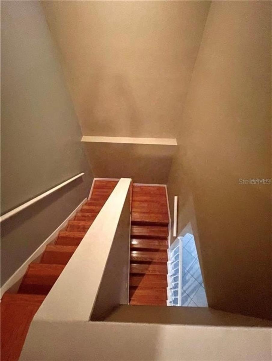 1218 VINETREE DR, BRANDON, FL, 33510