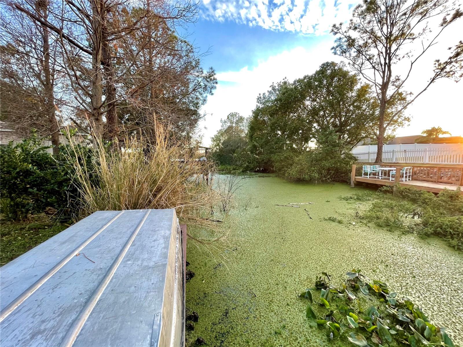 1218 VINETREE DR, BRANDON, FL, 33510