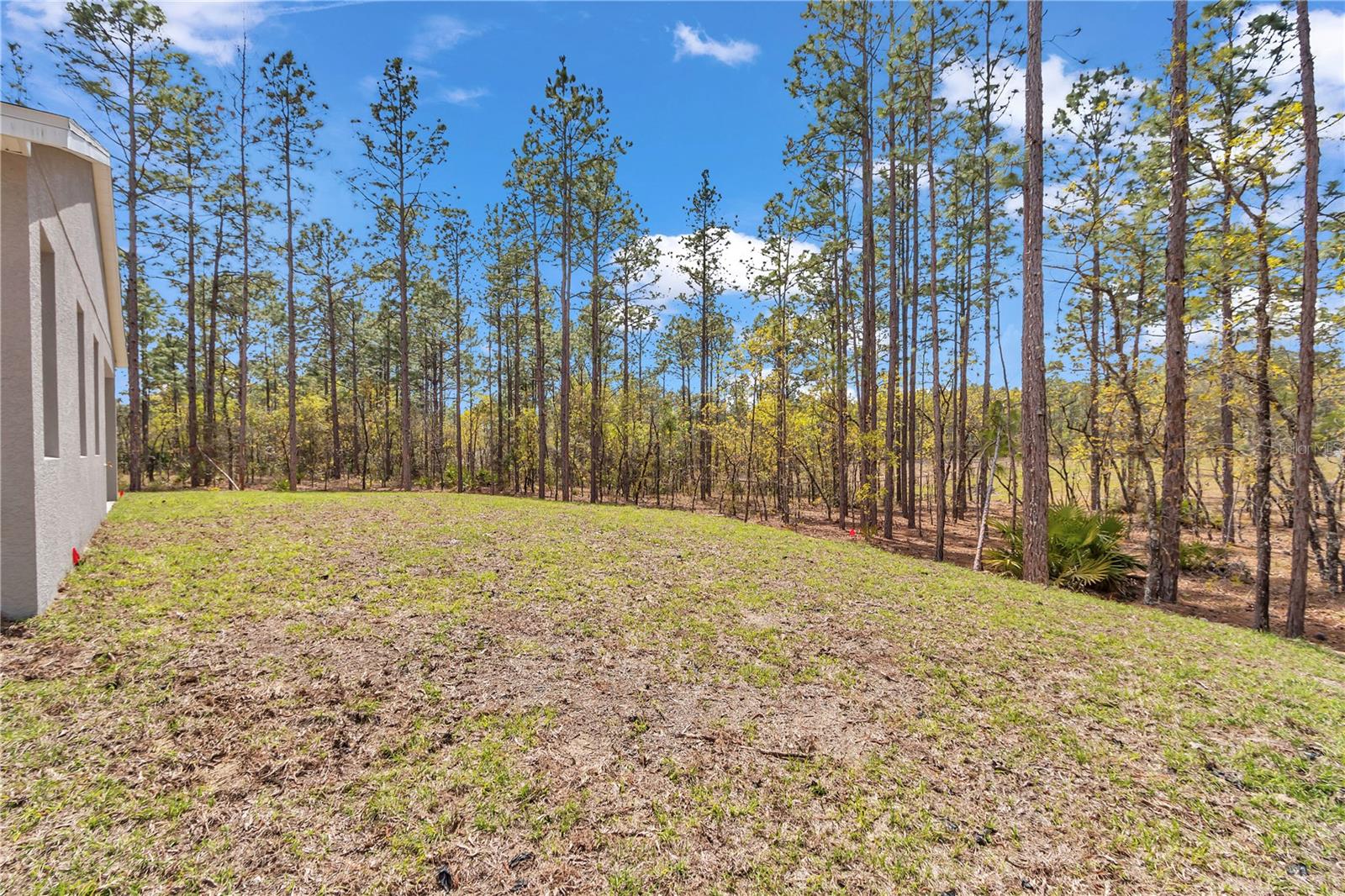 7542 SW 128 TERRACE RD, DUNNELLON, FL, 34432
