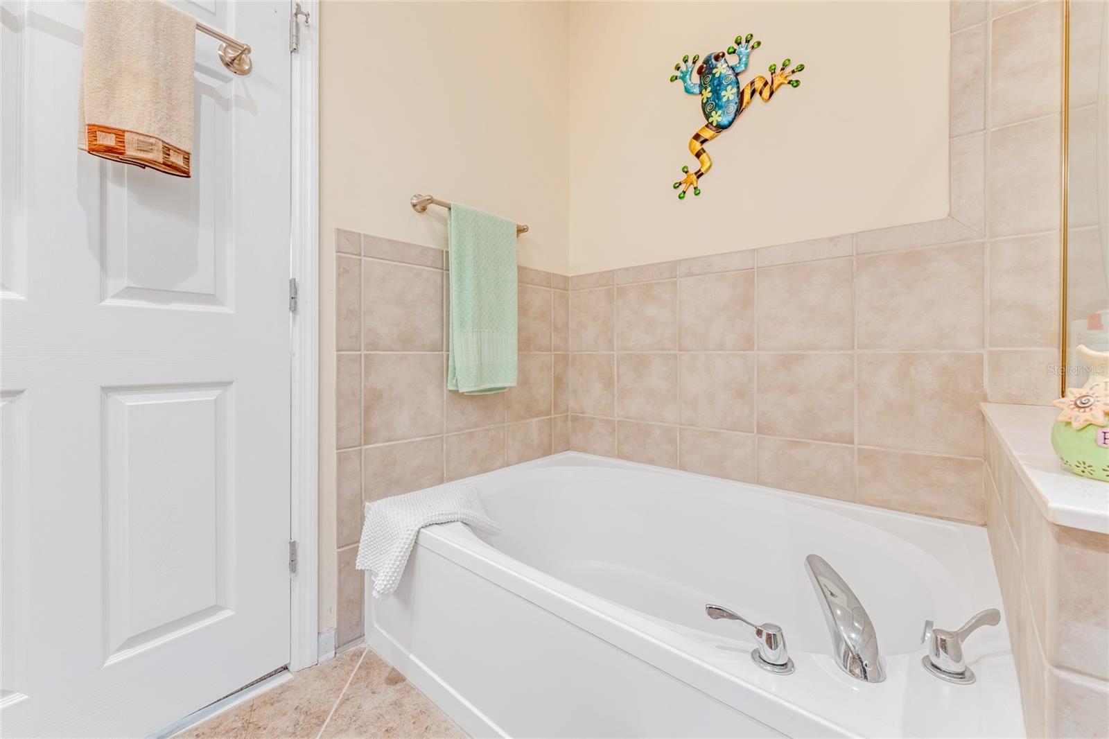 1938 TURNBULL LAKES DR, NEW SMYRNA BEACH, FL, 32168