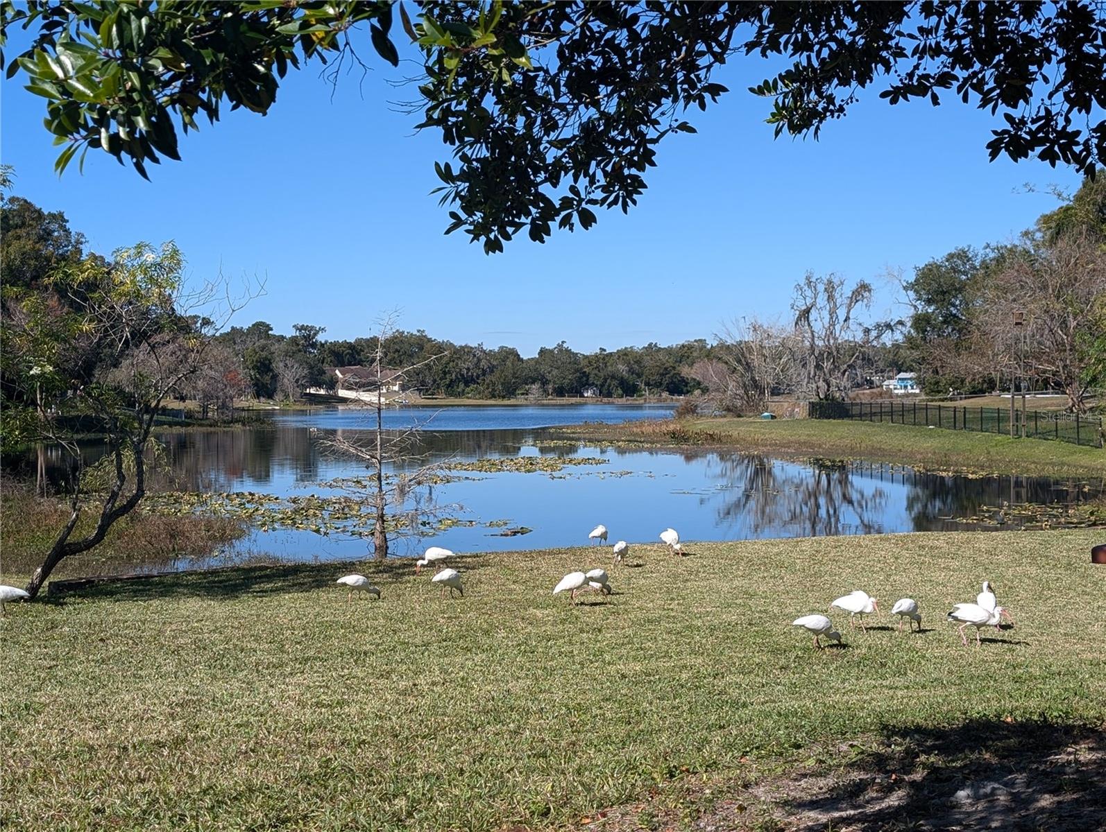 800 LAKE MARION DR, ALTAMONTE SPRINGS, FL, 32701