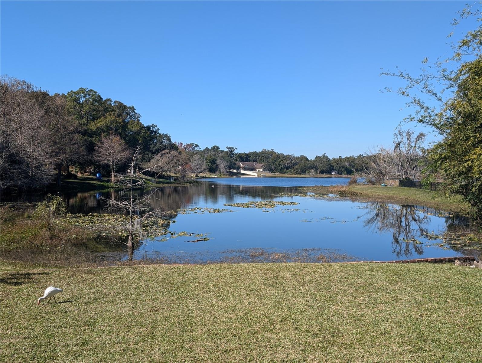 800 LAKE MARION DR, ALTAMONTE SPRINGS, FL, 32701