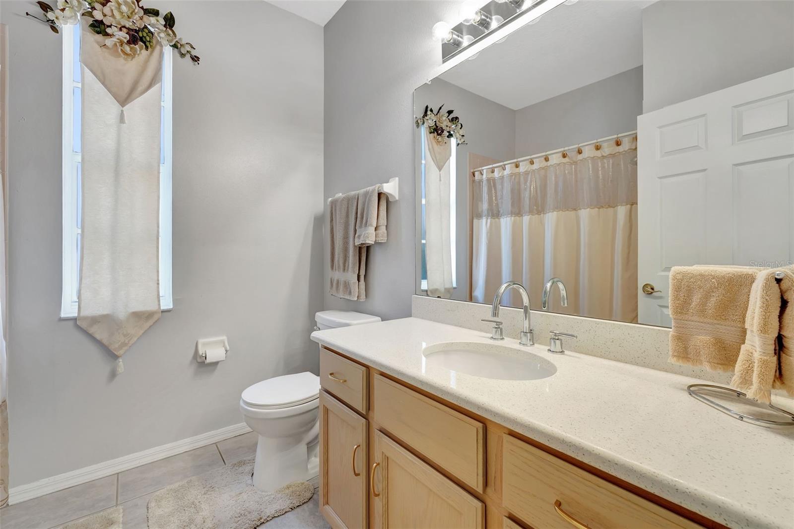 17707 EMERALD GREEN PL, TAMPA, FL, 33647