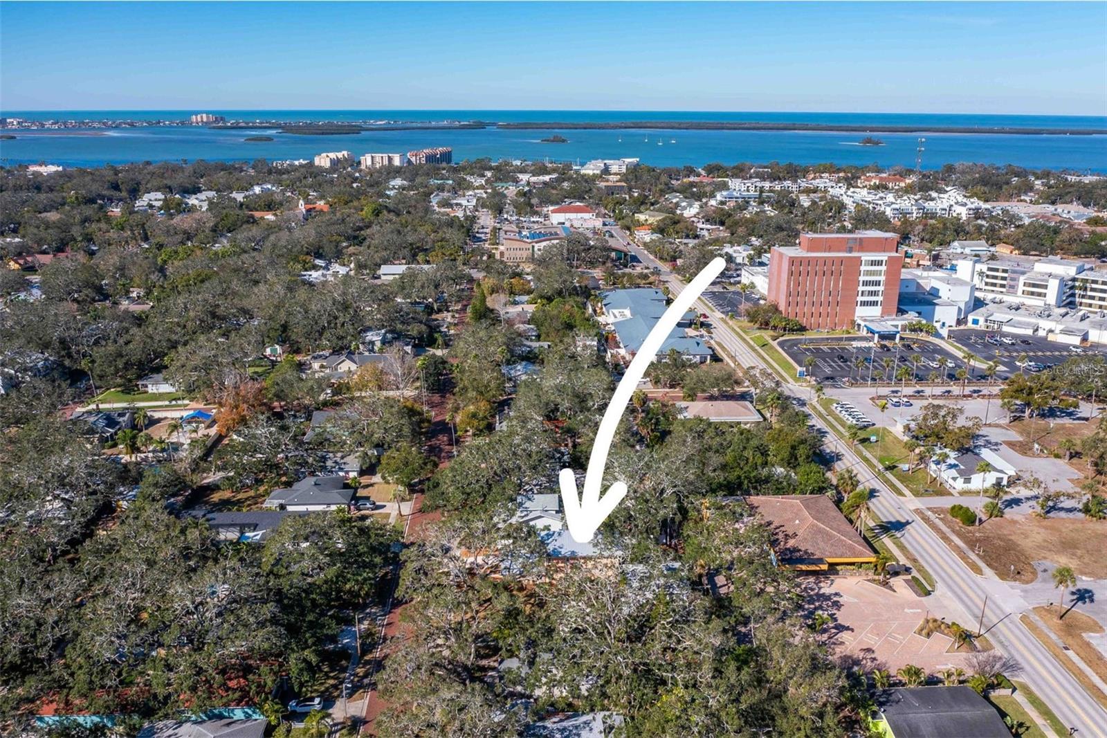 728 WOOD ST, DUNEDIN, FL, 34698