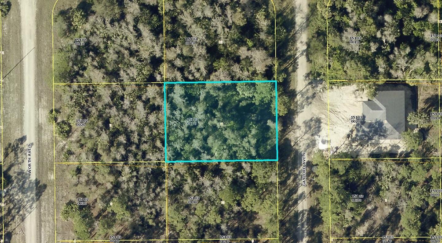 844 GAYLORD AVE S, LEHIGH ACRES, FL, 33974