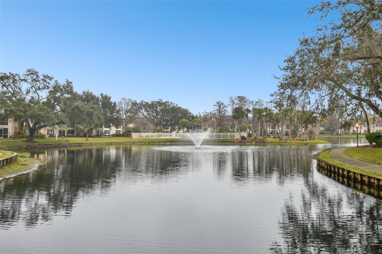 10330 CARROLLWOOD LN #93, TAMPA, FL, 33618