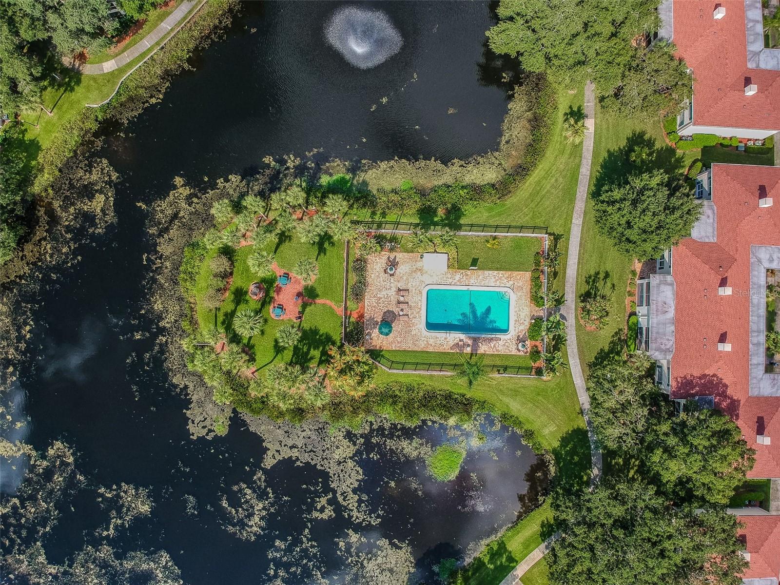 10330 CARROLLWOOD LN #93, TAMPA, FL, 33618