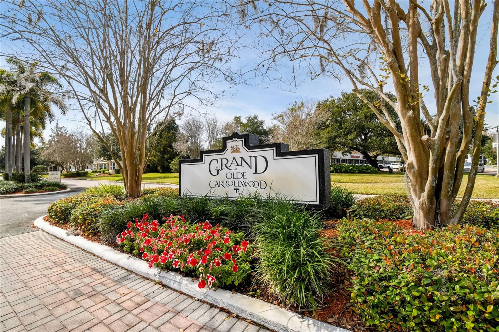 10330 CARROLLWOOD LN #93, TAMPA, FL, 33618
