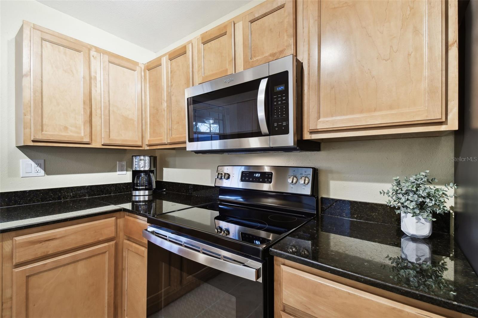 10330 CARROLLWOOD LN #93, TAMPA, FL, 33618