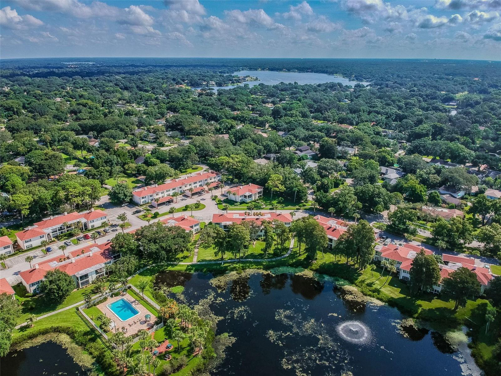 10330 CARROLLWOOD LN #93, TAMPA, FL, 33618
