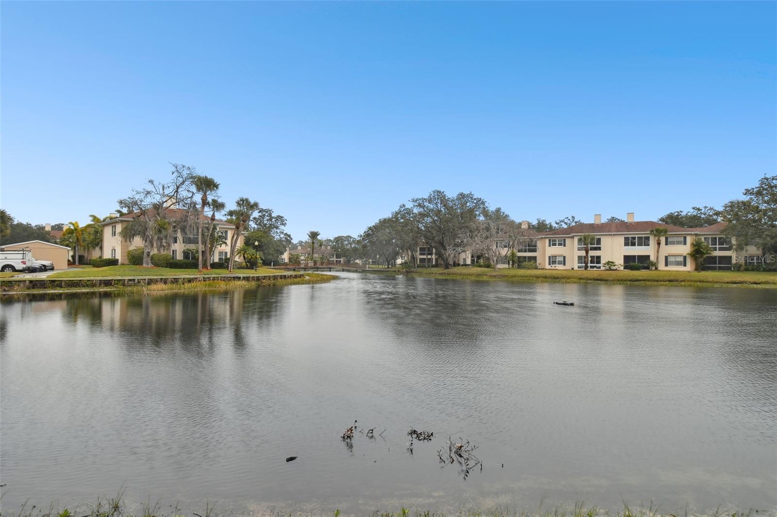 10330 CARROLLWOOD LN #93, TAMPA, FL, 33618