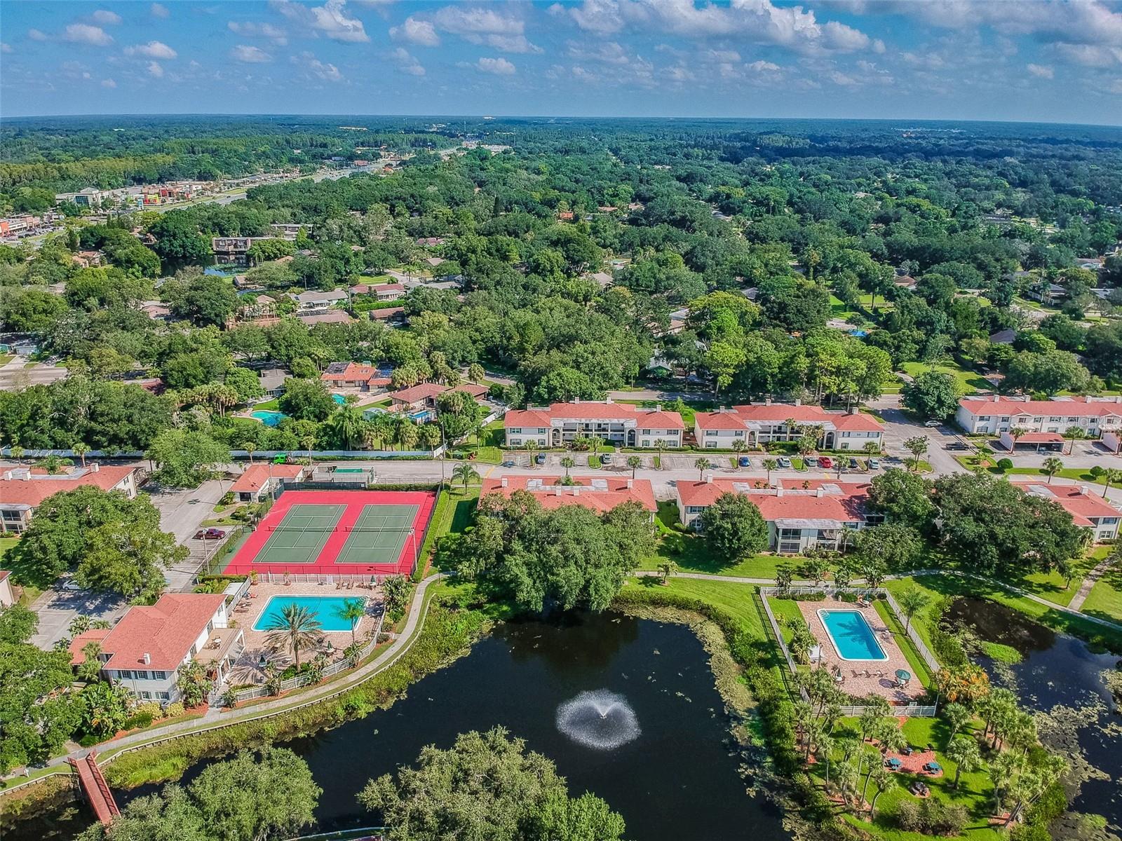 10330 CARROLLWOOD LN #93, TAMPA, FL, 33618