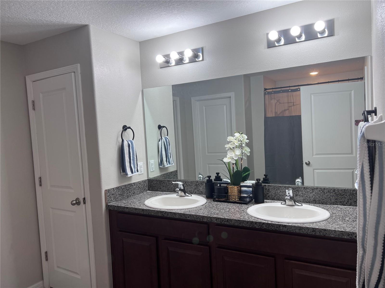 10103 ROSE PETAL PL, RIVERVIEW, FL, 33578