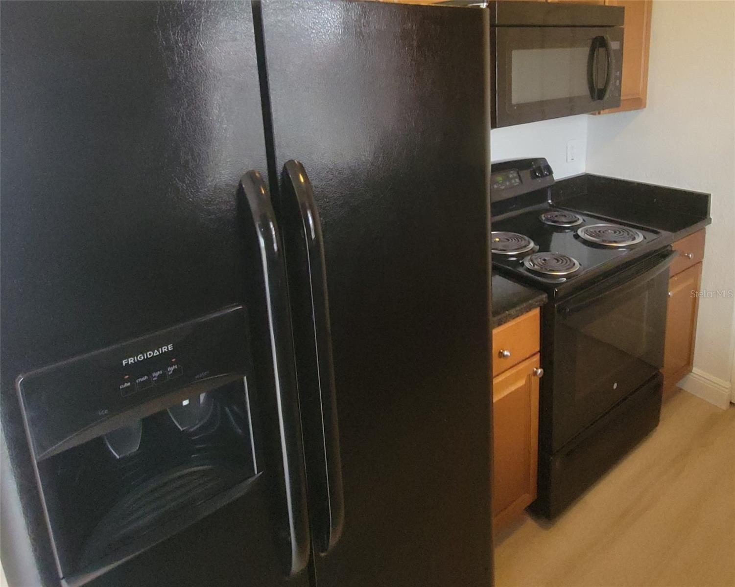 22713 PENNY LOOP, LAND O LAKES, FL, 34639