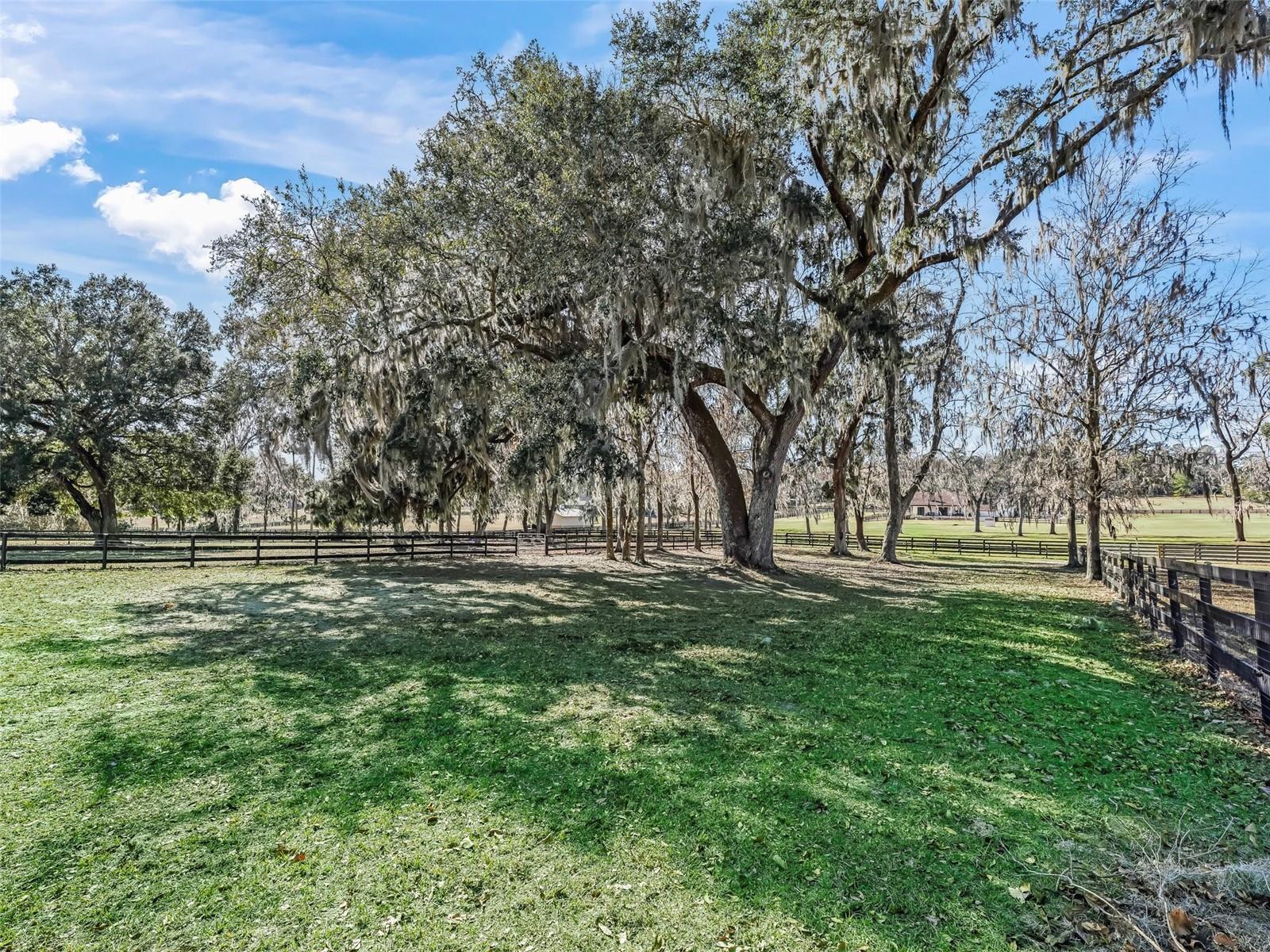 9270 SW 9TH TER, OCALA, FL, 34476