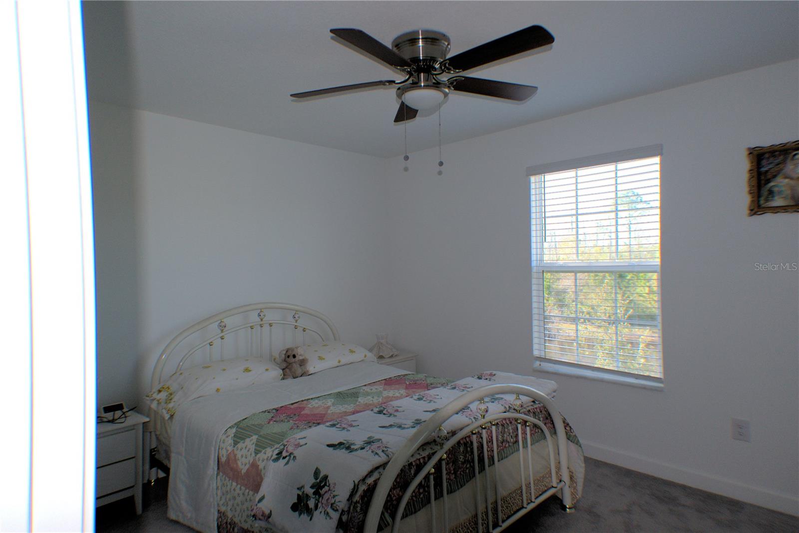 16843 FORGE SURF ST, LAND O LAKES, FL, 34638