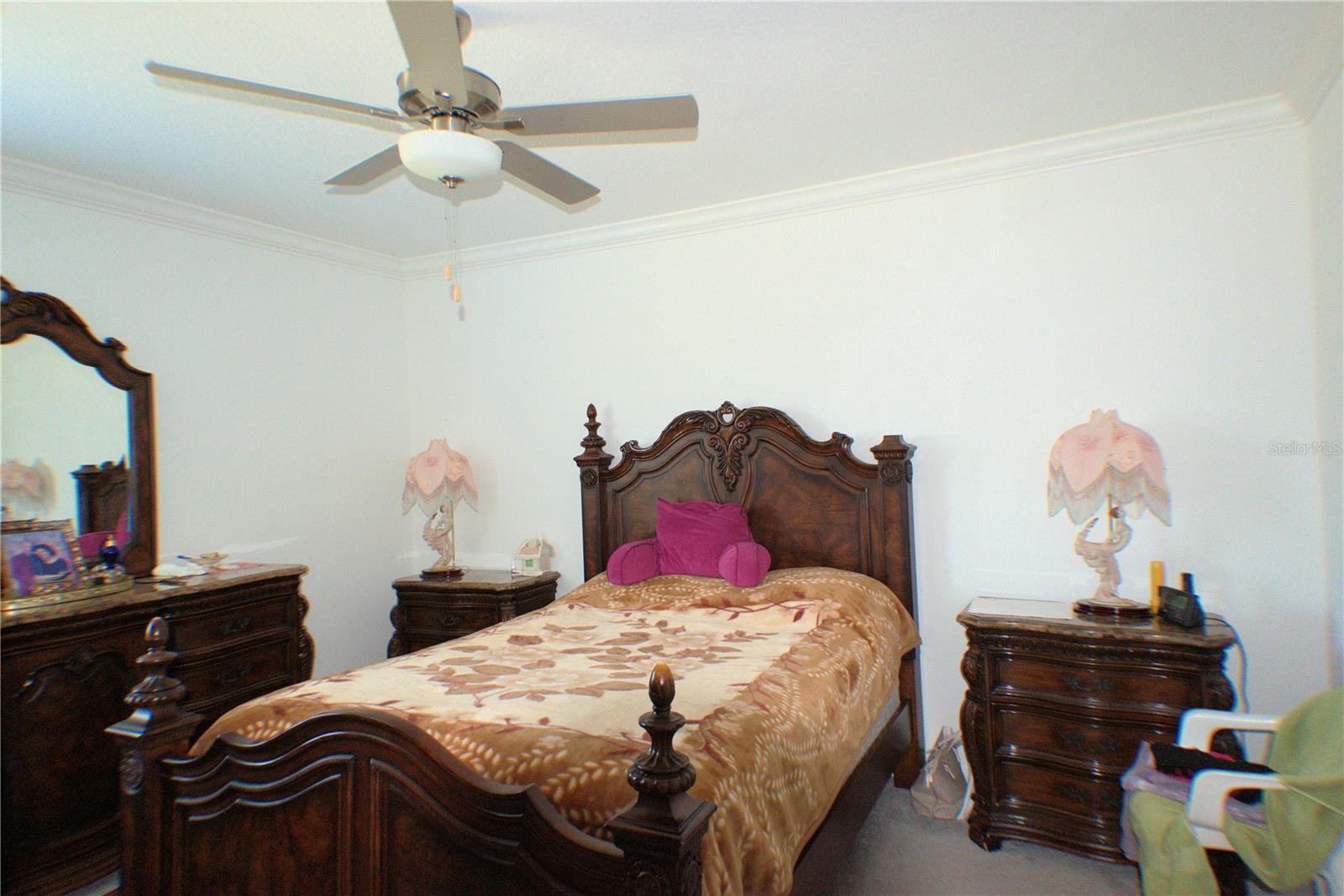 16843 FORGE SURF ST, LAND O LAKES, FL, 34638