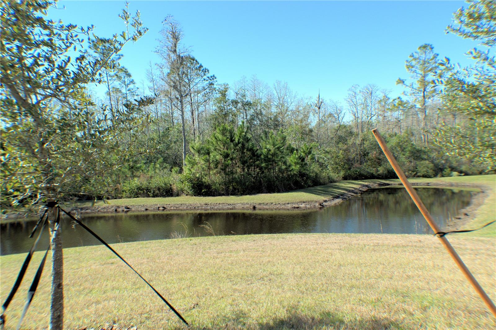 16843 FORGE SURF ST, LAND O LAKES, FL, 34638