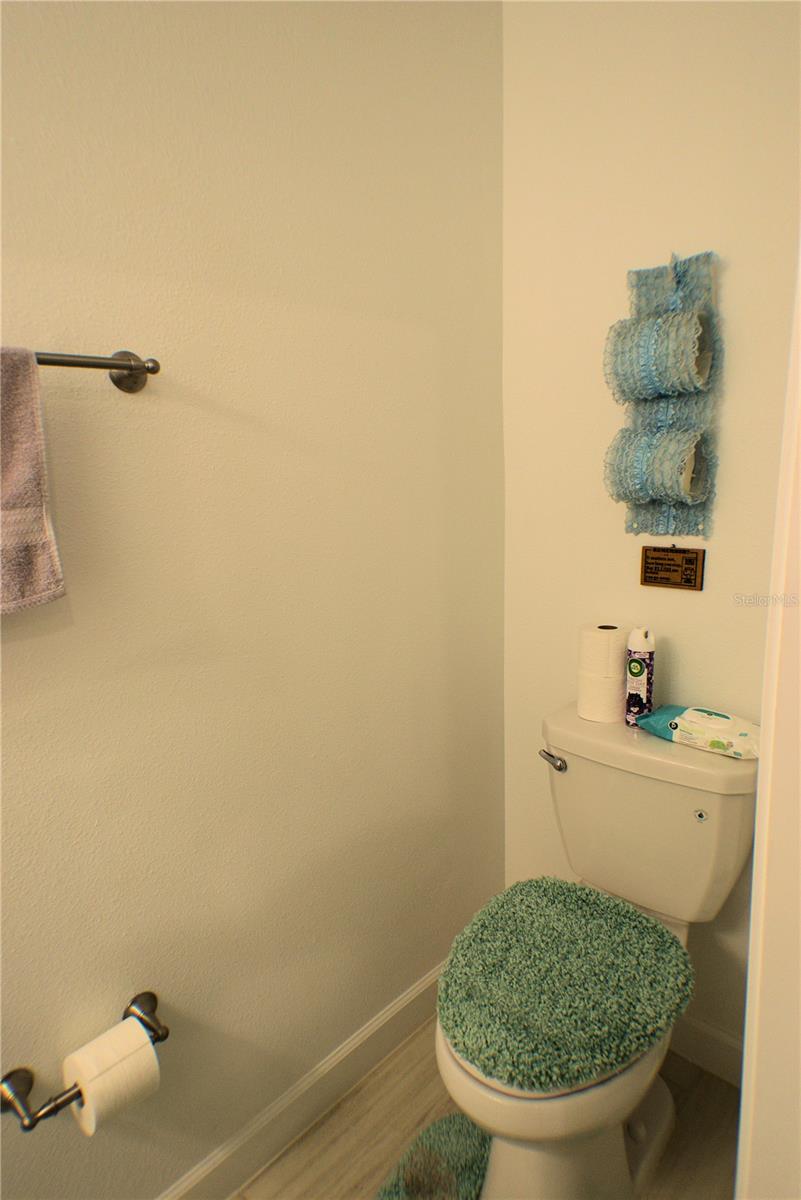 16843 FORGE SURF ST, LAND O LAKES, FL, 34638