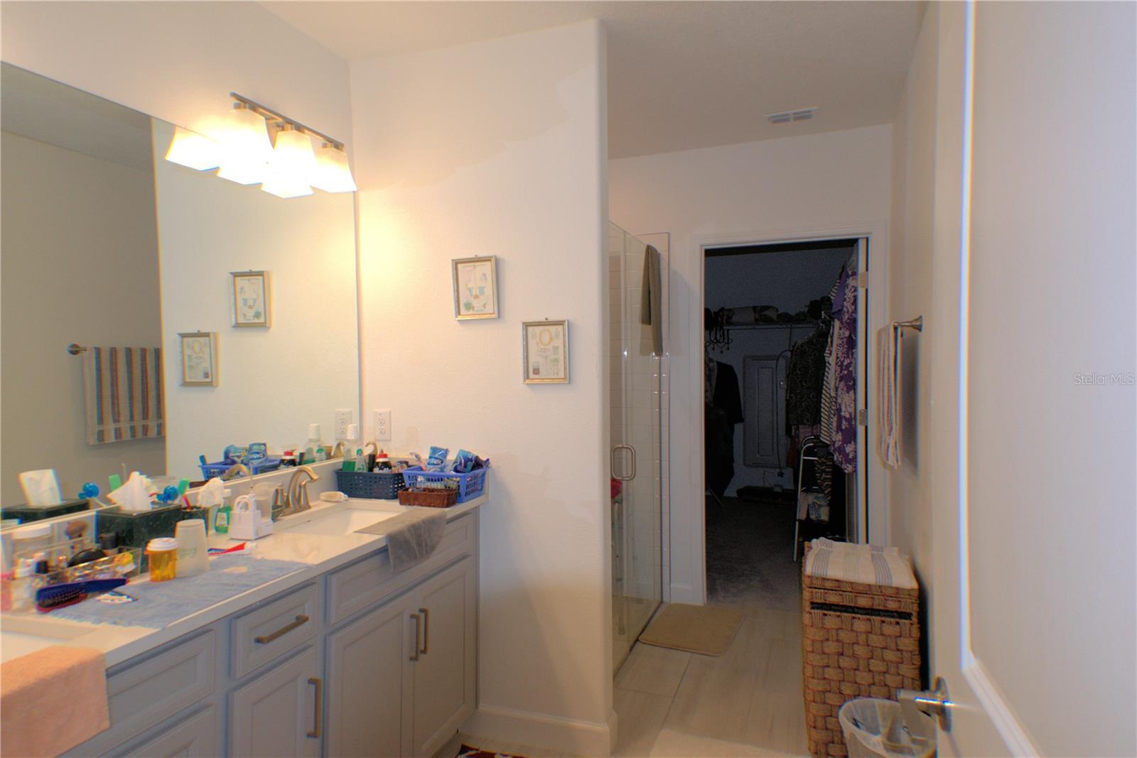 16843 FORGE SURF ST, LAND O LAKES, FL, 34638