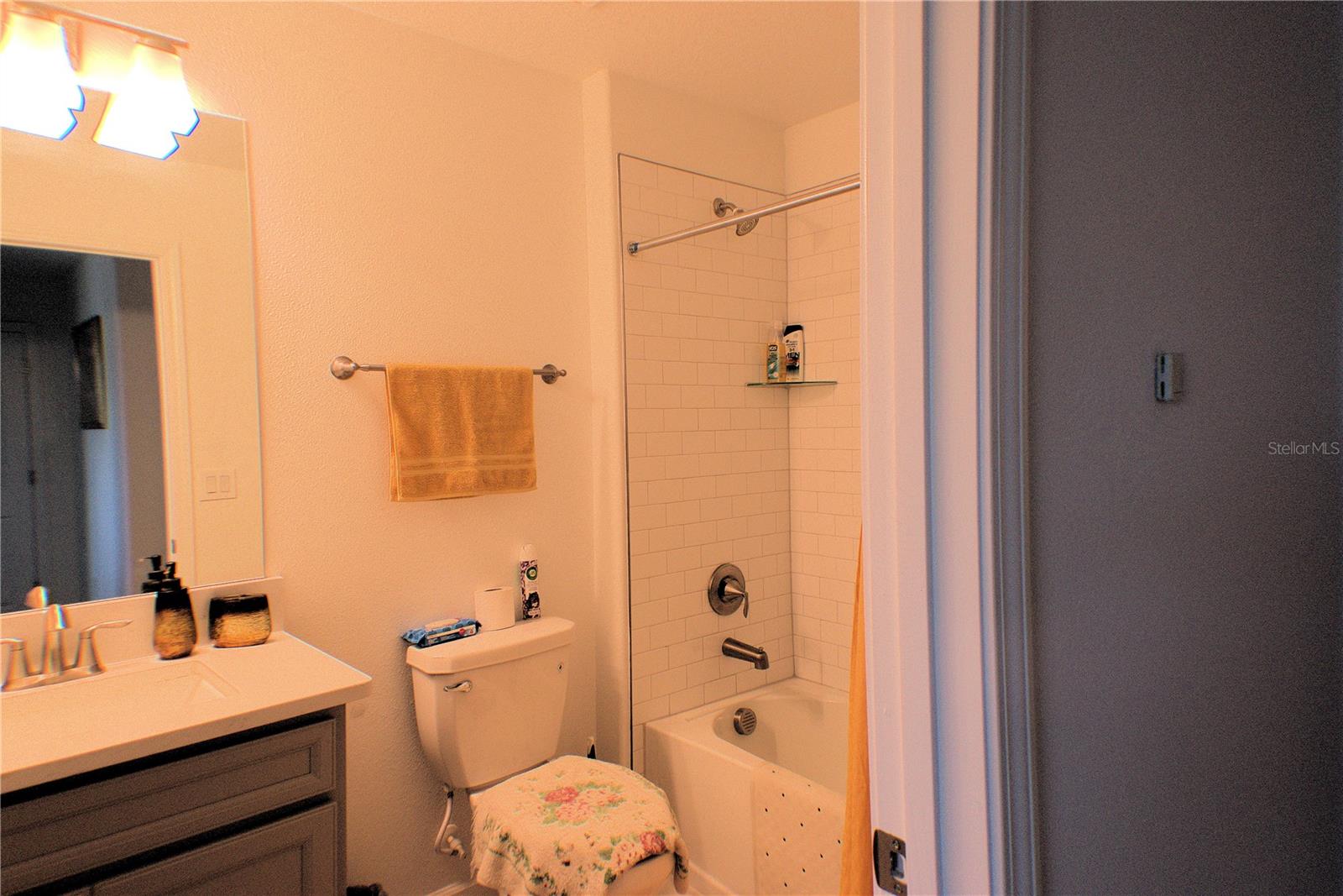 16843 FORGE SURF ST, LAND O LAKES, FL, 34638