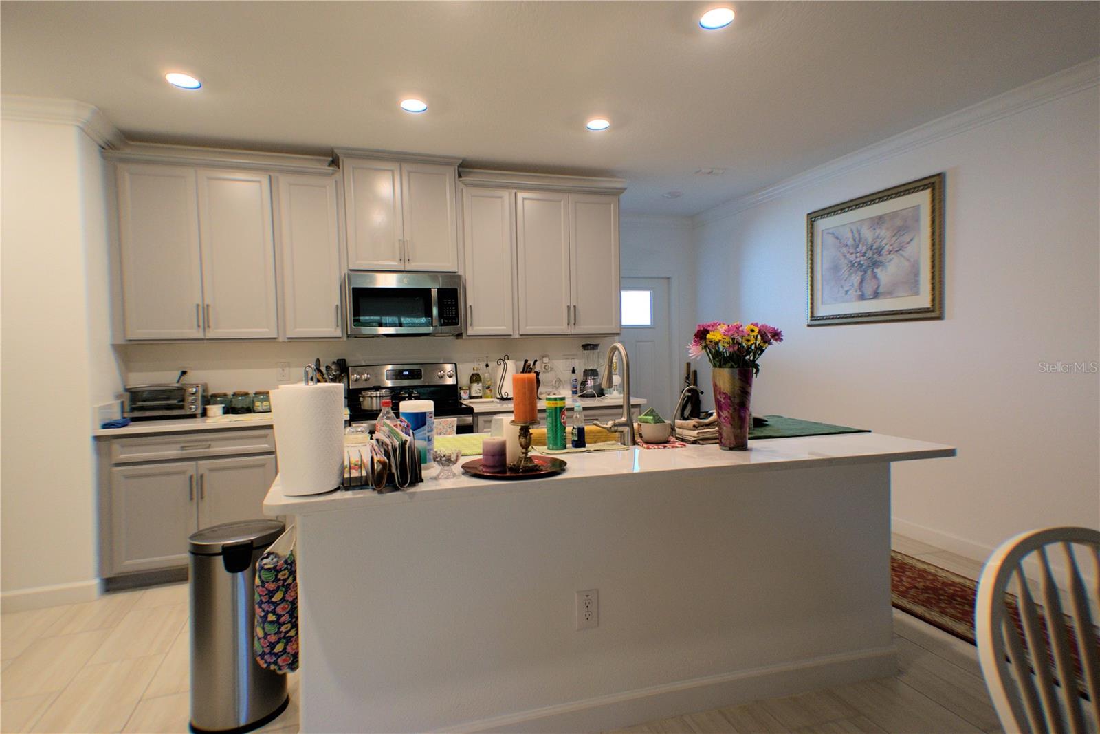 16843 FORGE SURF ST, LAND O LAKES, FL, 34638
