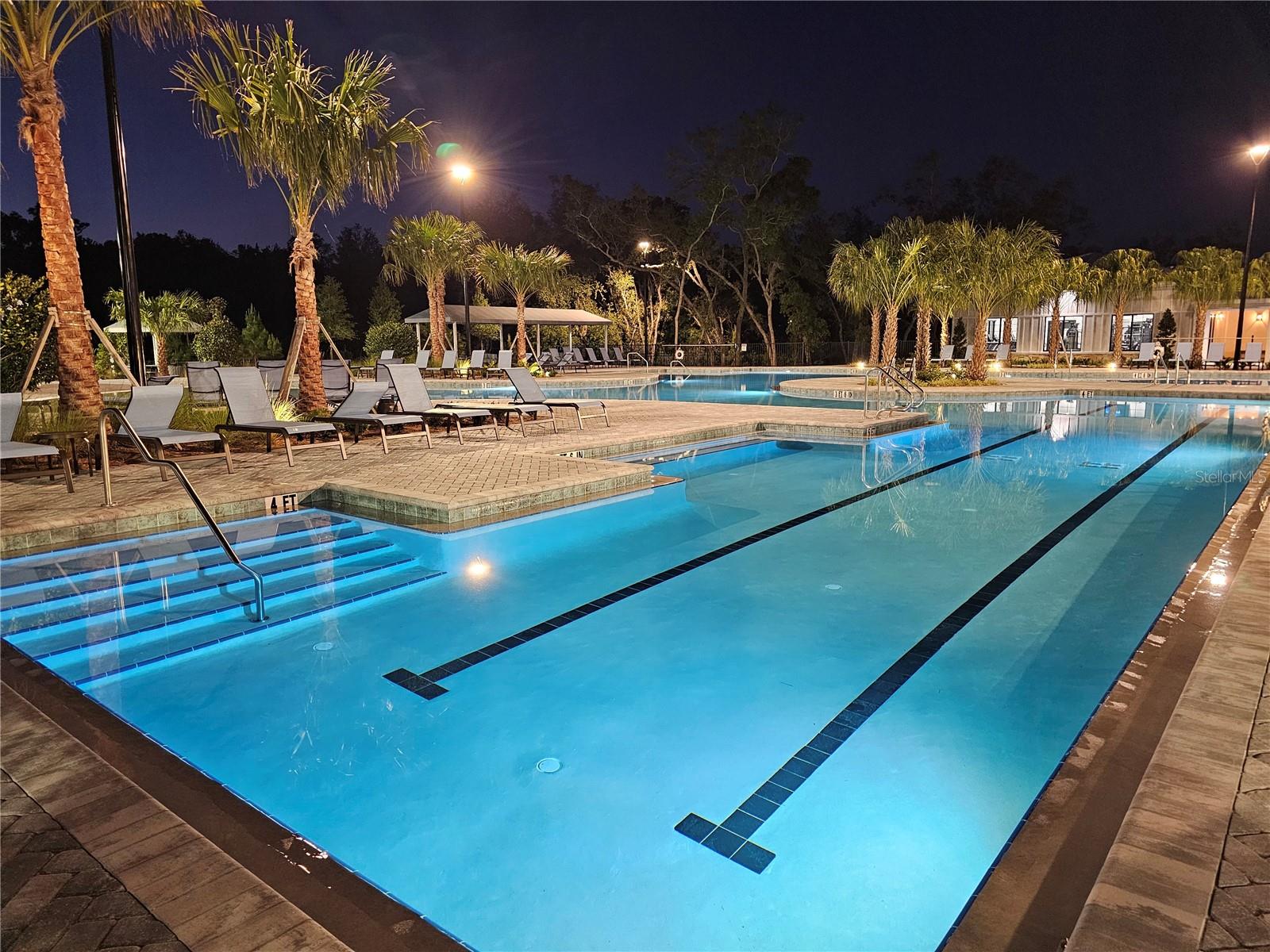 16843 FORGE SURF ST, LAND O LAKES, FL, 34638