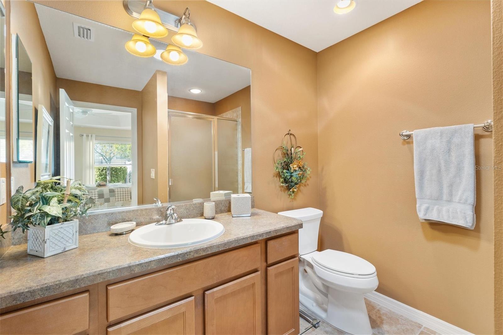3459 OLDHAM LN, THE VILLAGES, FL, 32163