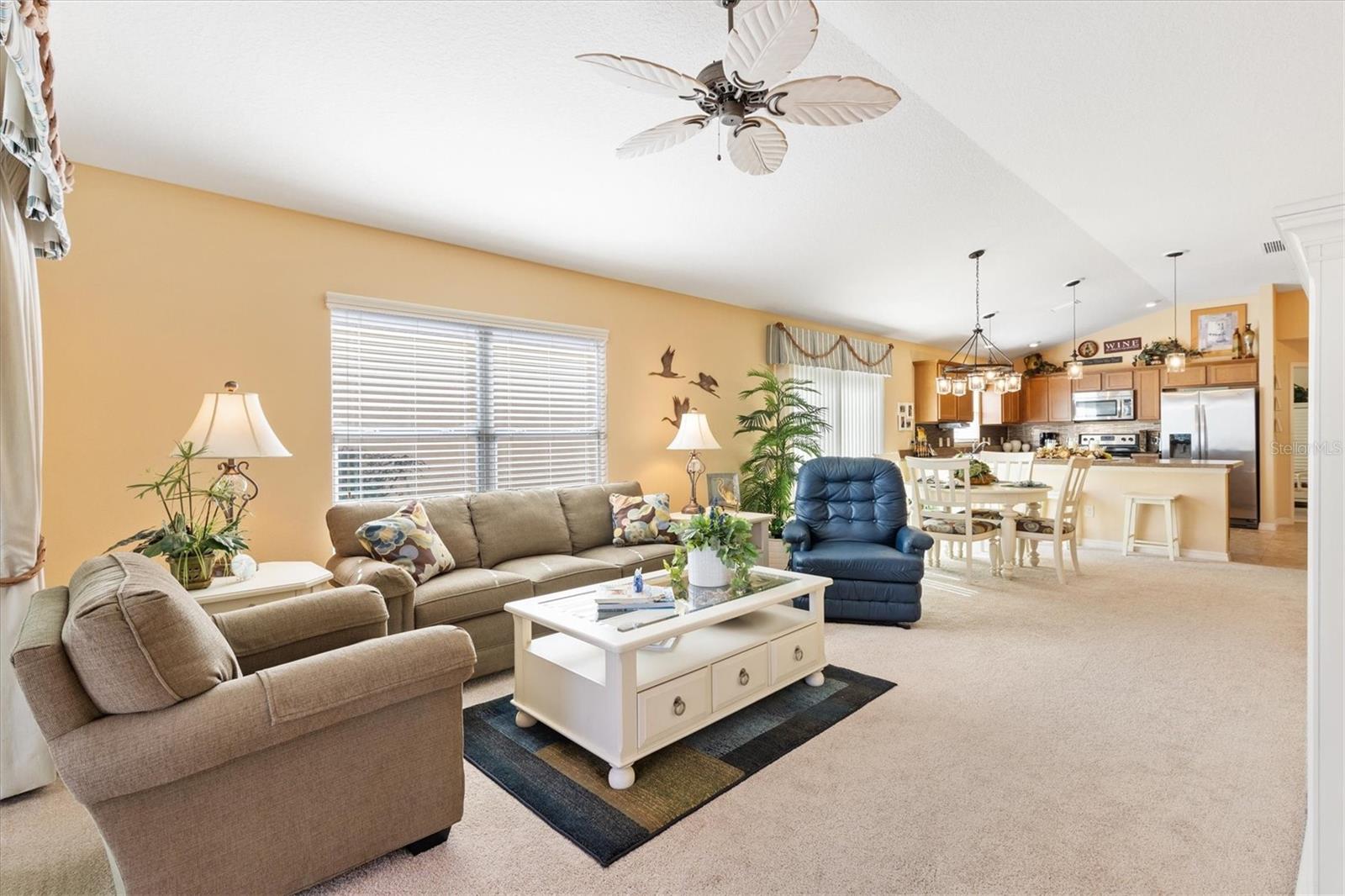 3459 OLDHAM LN, THE VILLAGES, FL, 32163