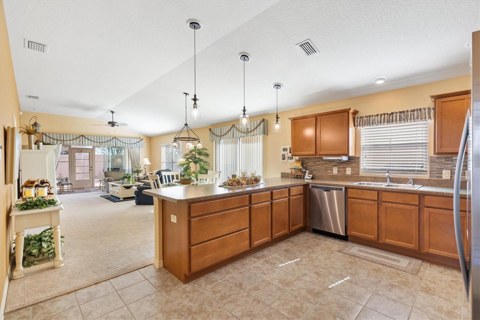 3459 OLDHAM LN, THE VILLAGES, FL, 32163