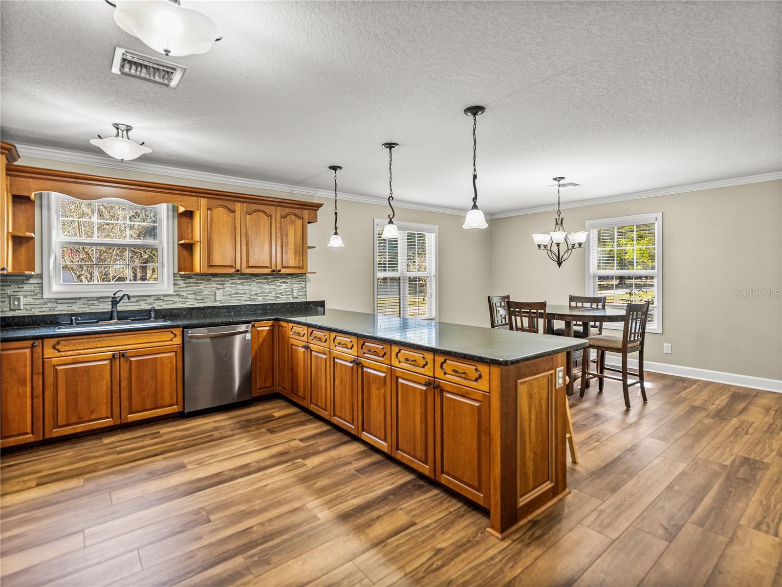 35351 NINA SUE LN, DADE CITY, FL, 33523