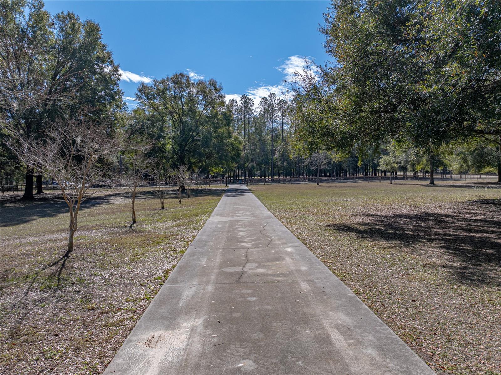 35351 NINA SUE LN, DADE CITY, FL, 33523
