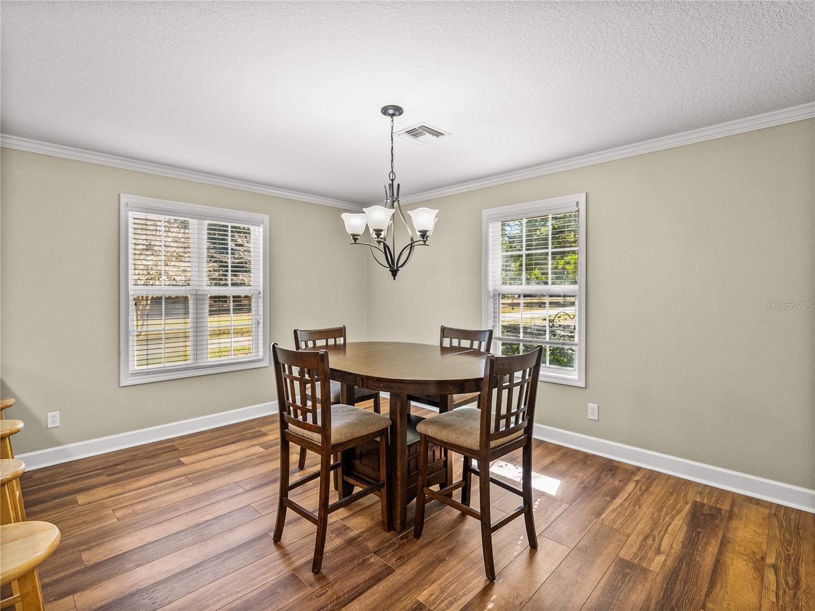 35351 NINA SUE LN, DADE CITY, FL, 33523