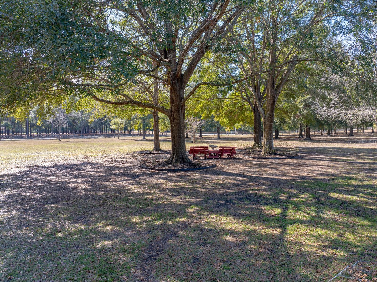 35351 NINA SUE LN, DADE CITY, FL, 33523