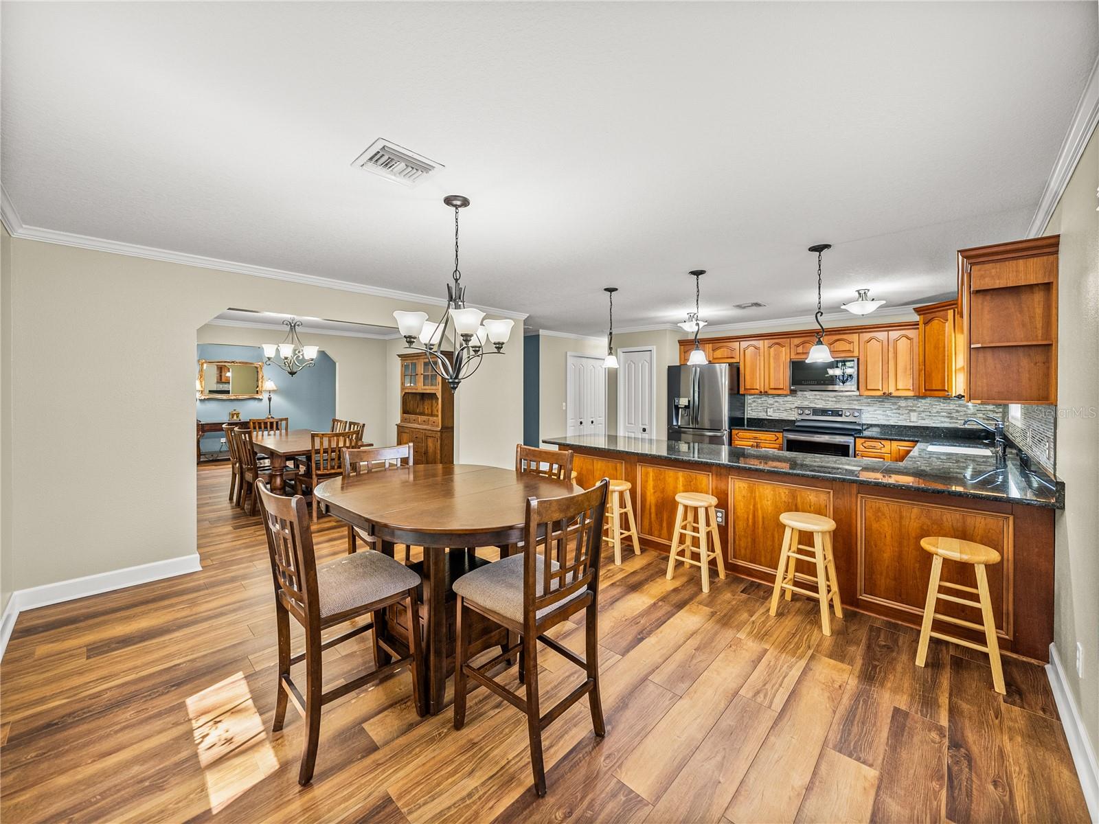 35351 NINA SUE LN, DADE CITY, FL, 33523