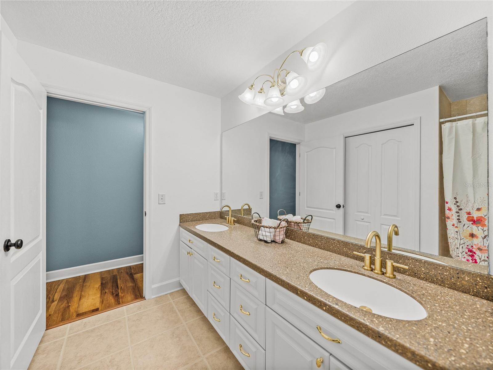 35351 NINA SUE LN, DADE CITY, FL, 33523