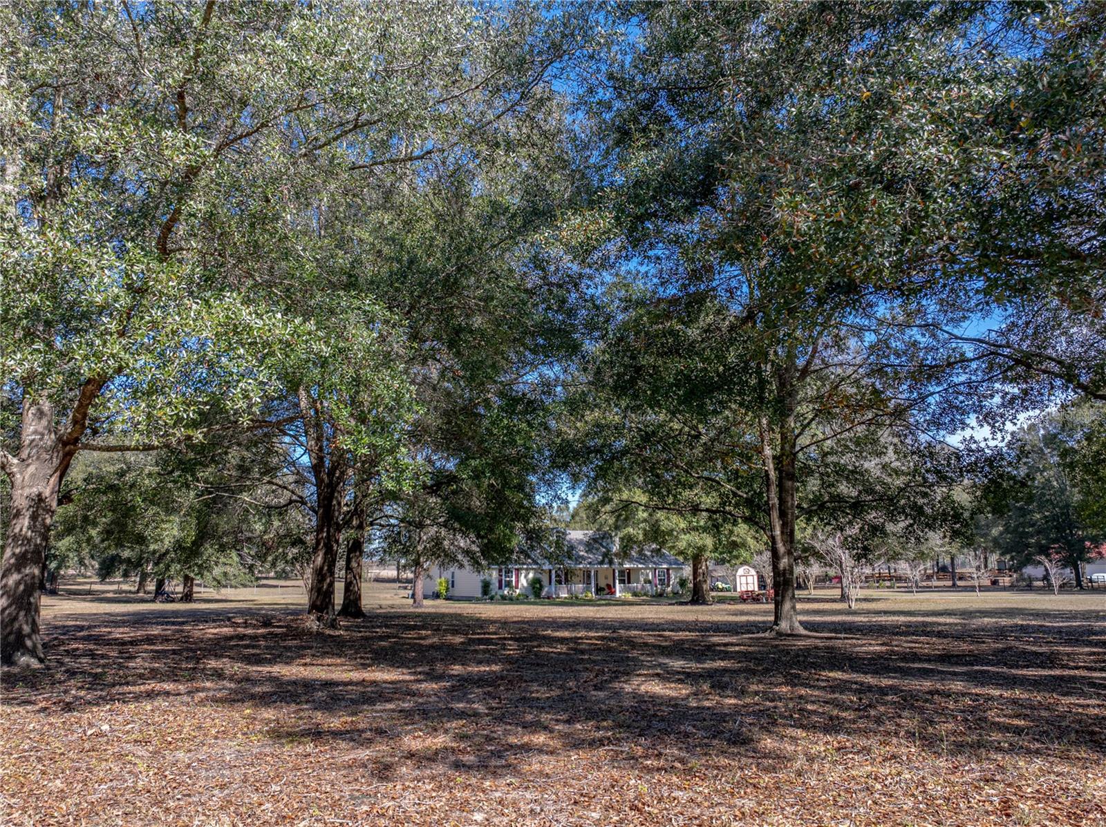 35351 NINA SUE LN, DADE CITY, FL, 33523