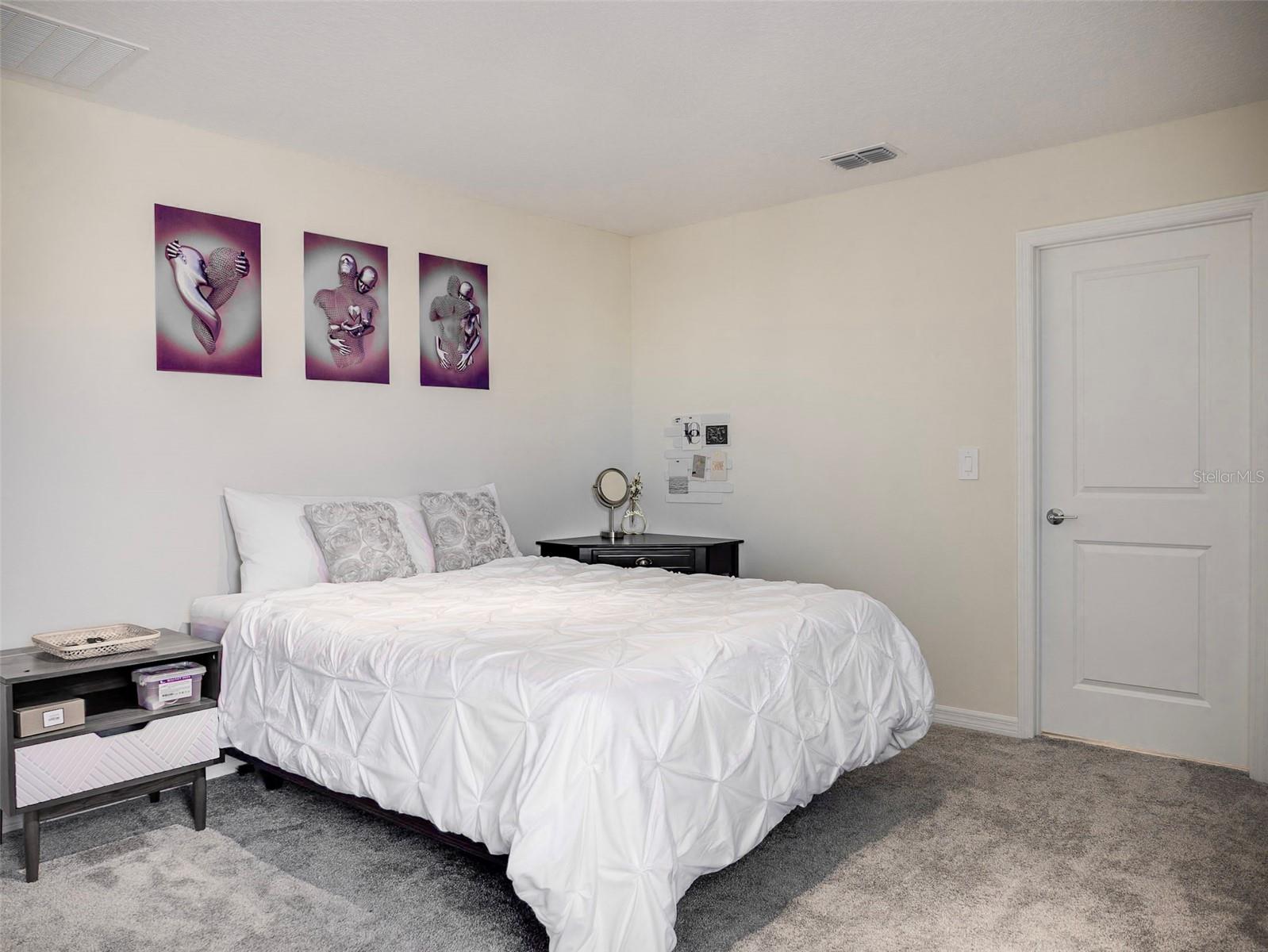 2949 MULLER OAK LOOP, OCOEE, FL, 34761