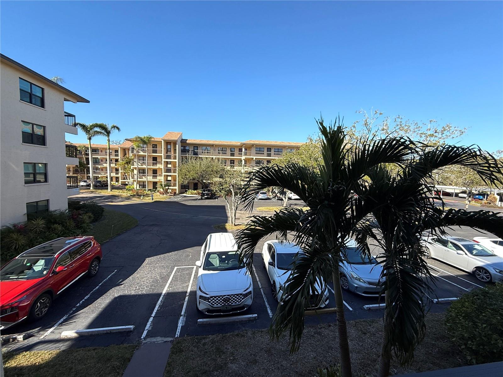 425 30TH AVE W #C212, BRADENTON, FL, 34205