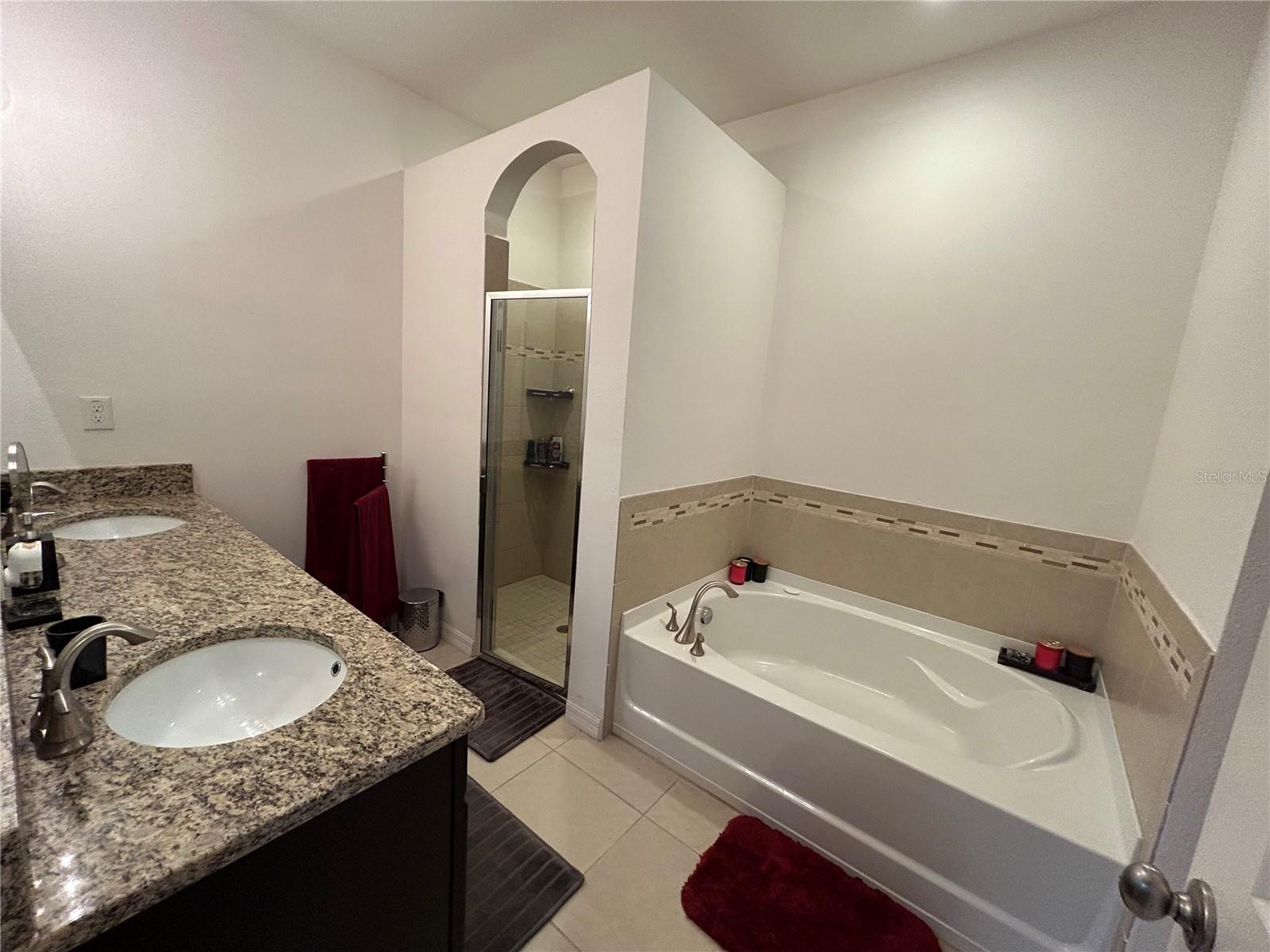 11854 THICKET WOOD DR, RIVERVIEW, FL, 33579