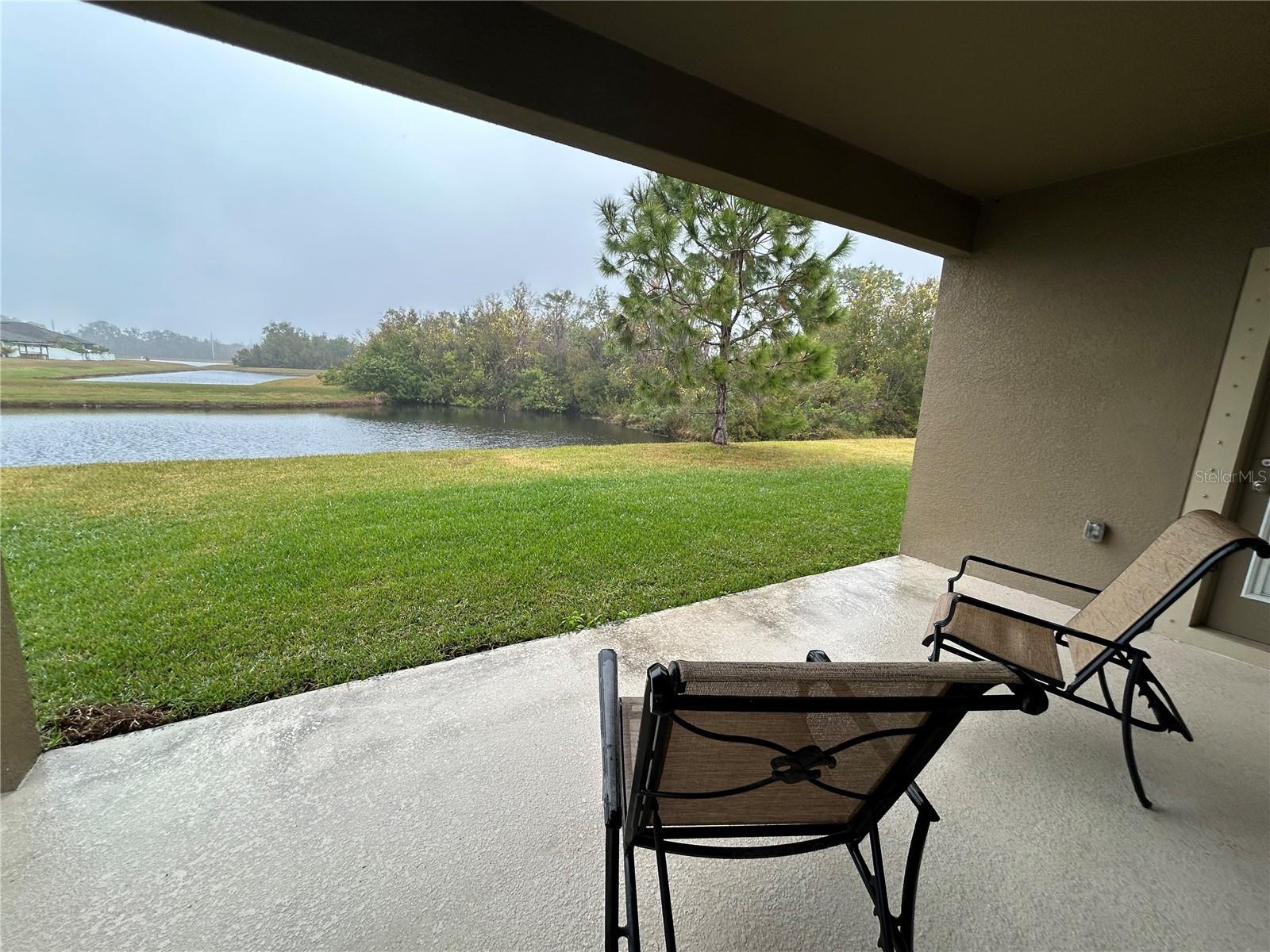 11854 THICKET WOOD DR, RIVERVIEW, FL, 33579